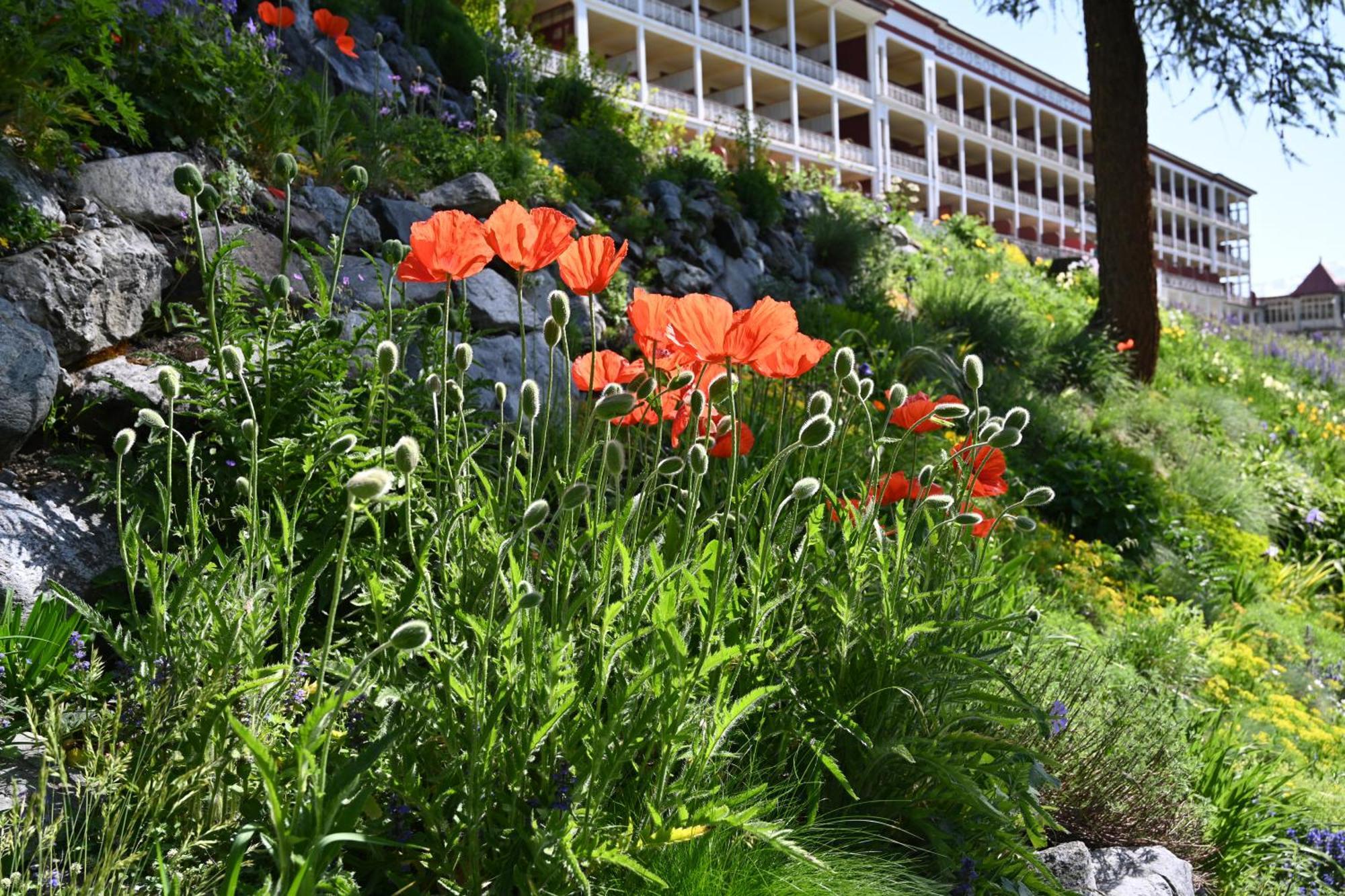 Schatzalp Hotel Давос Екстериор снимка